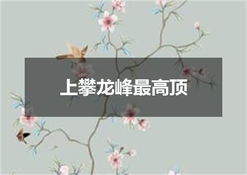 上攀龙峰最高顶