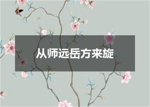 从师远岳方来旋