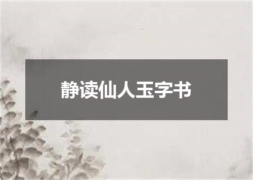 静读仙人玉字书