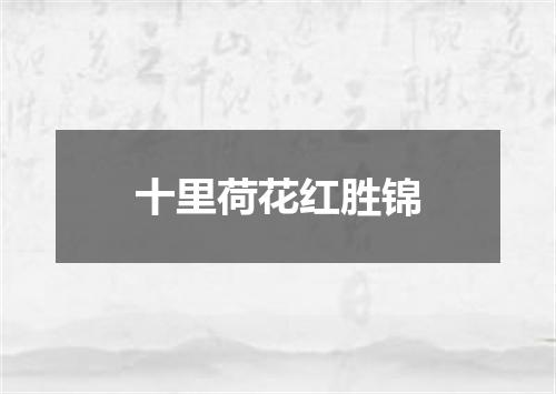 十里荷花红胜锦