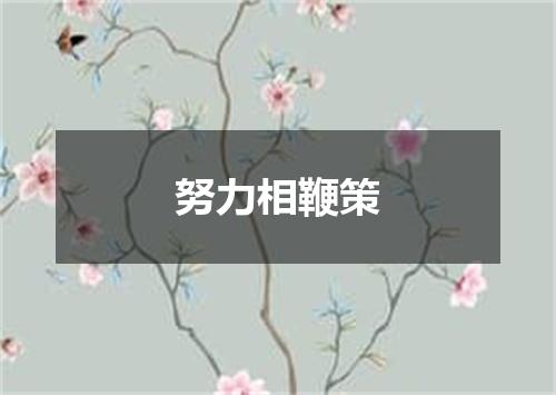 努力相鞭策