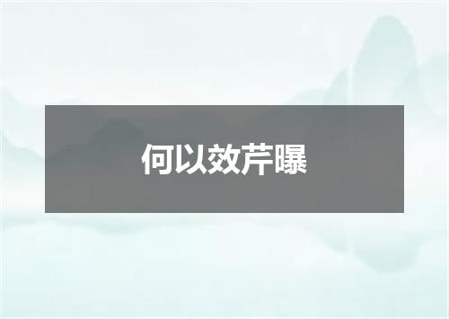 何以效芹曝
