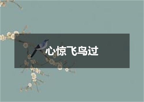 心惊飞鸟过