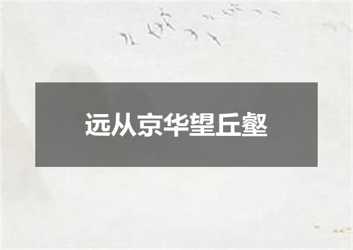 远从京华望丘壑