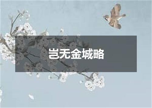 岂无金城略