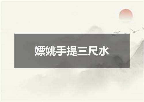 嫖姚手提三尺水