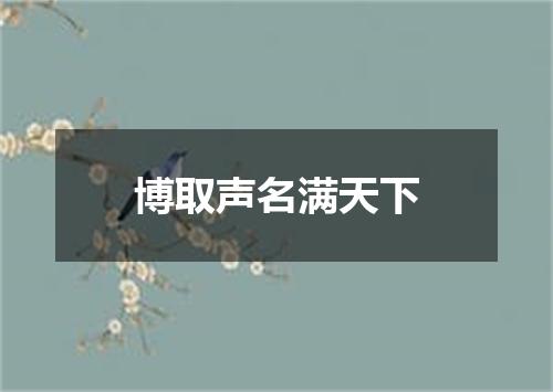 博取声名满天下