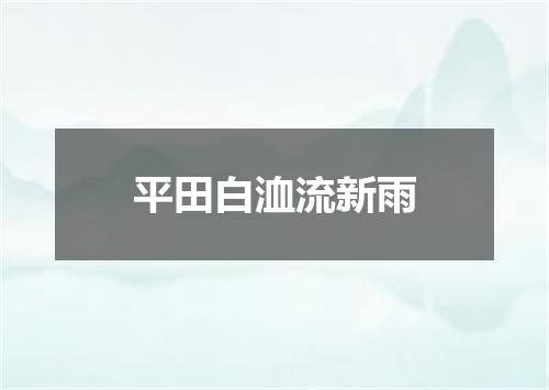 平田白洫流新雨