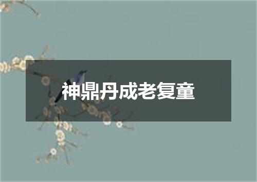 神鼎丹成老复童