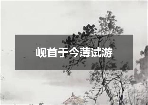 岘首于今薄试游