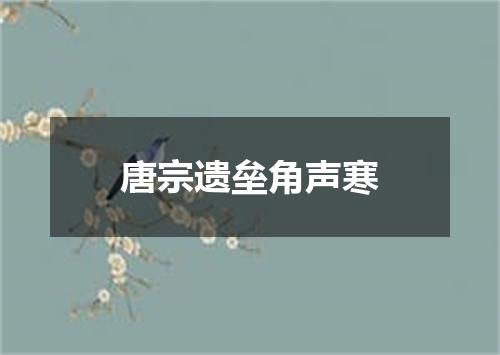 唐宗遗垒角声寒