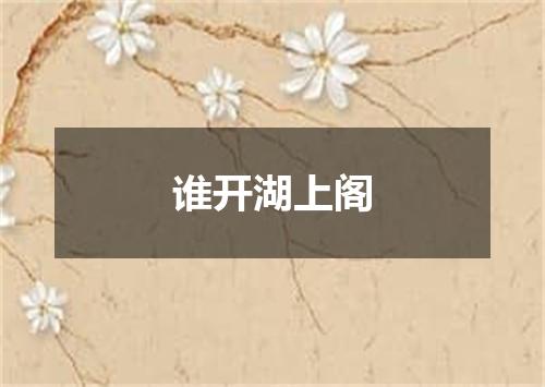 谁开湖上阁