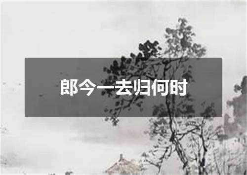 郎今一去归何时