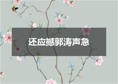 还应撼郭涛声急