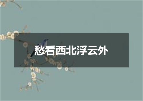 愁看西北浮云外