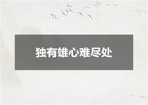 独有雄心难尽处