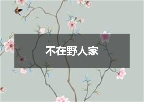 不在野人家