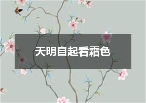 天明自起看霜色