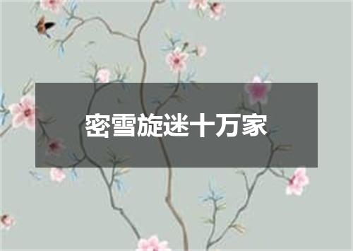 密雪旋迷十万家