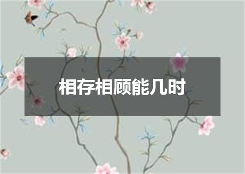 相存相顾能几时
