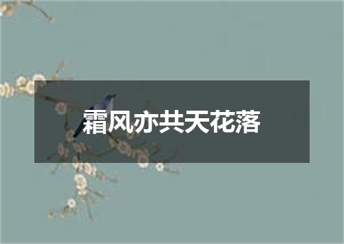 霜风亦共天花落