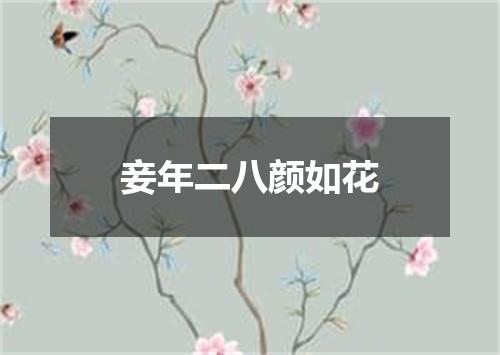 妾年二八颜如花