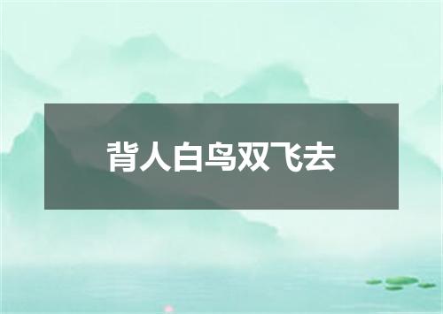 背人白鸟双飞去