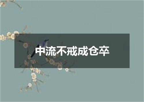 中流不戒成仓卒