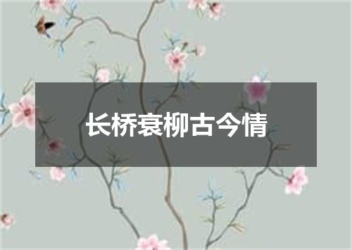 长桥衰柳古今情