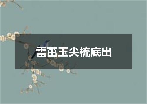 雷茁玉尖梳底出