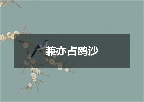 兼亦占鸥沙