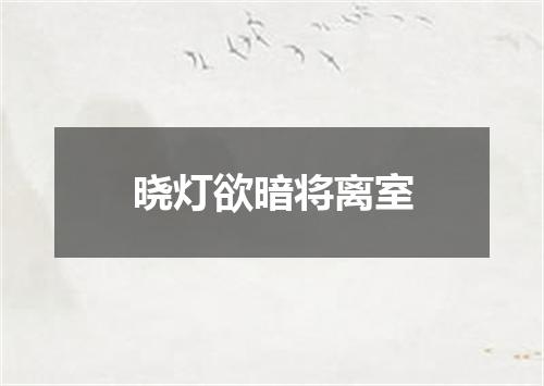 晓灯欲暗将离室