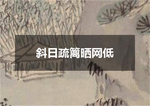 斜日疏篱晒网低