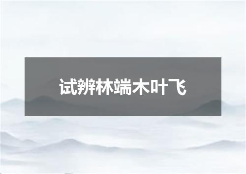 试辨林端木叶飞