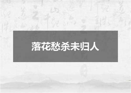 落花愁杀未归人