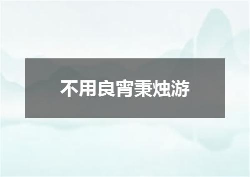 不用良宵秉烛游