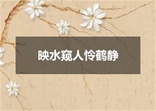 映水窥人怜鹤静
