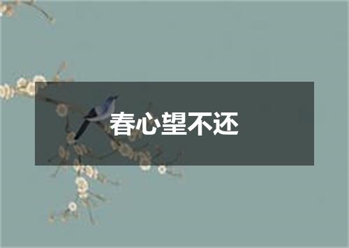 春心望不还