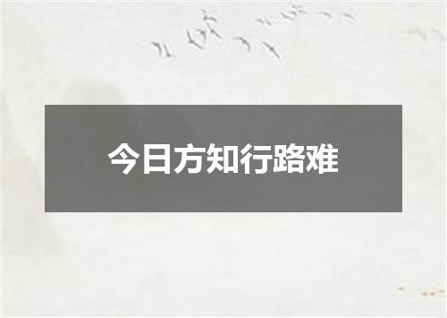今日方知行路难