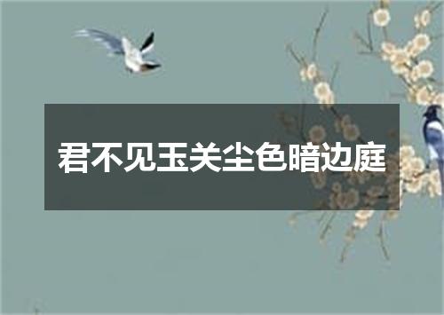 君不见玉关尘色暗边庭