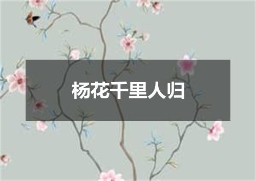 杨花千里人归
