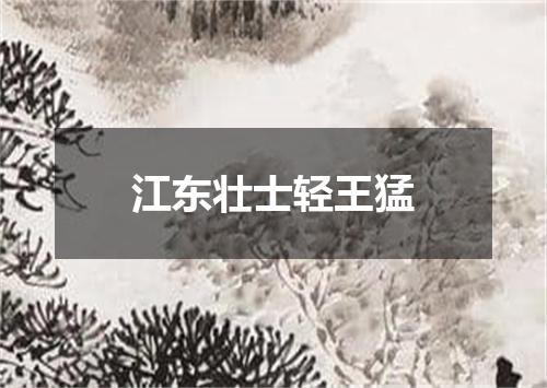 江东壮士轻王猛