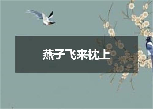燕子飞来枕上