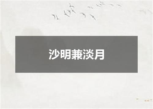 沙明兼淡月