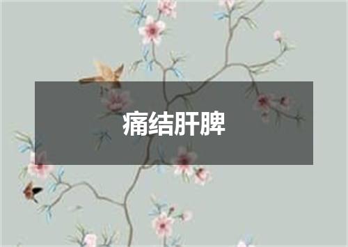 痛结肝脾