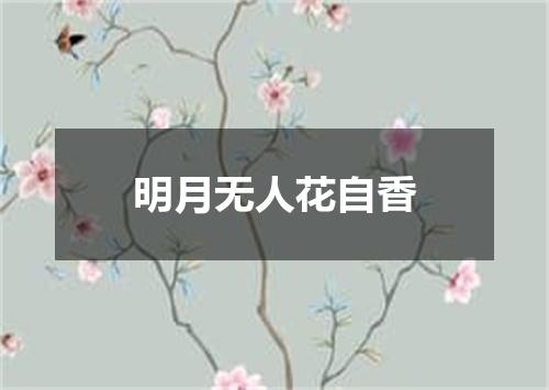 明月无人花自香