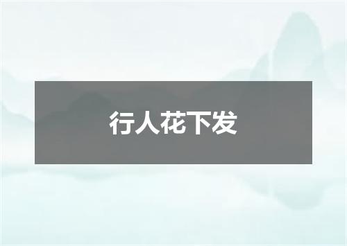 行人花下发