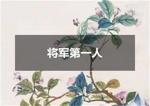 将军第一人