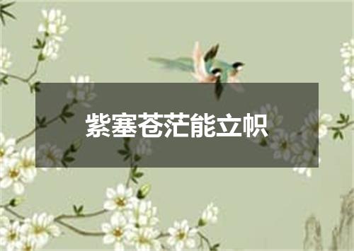 紫塞苍茫能立帜