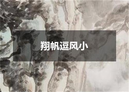 翔帆逗风小